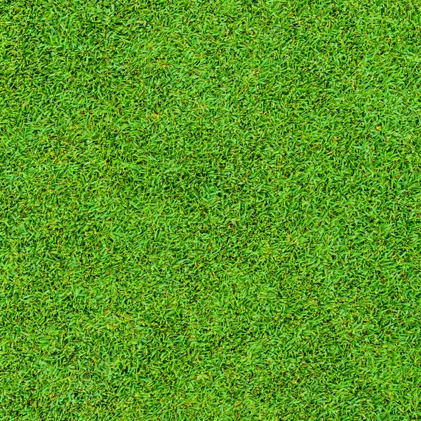 Textury, krásné zelené trávě vzorku z golfu — Stock fotografie