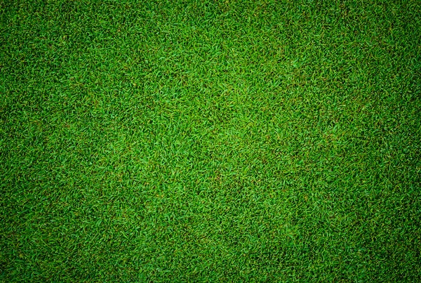 Textur des schönen grünen Rasenmusters vom Golf — Stockfoto