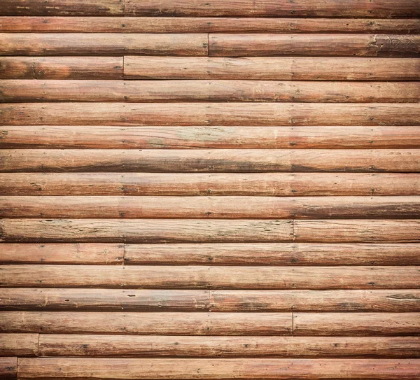 Paloma pájaro sentado en el nido en una palmera — Foto de Stock