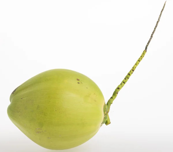 Green Thai young coconut fruit on white background. — Stock Photo, Image