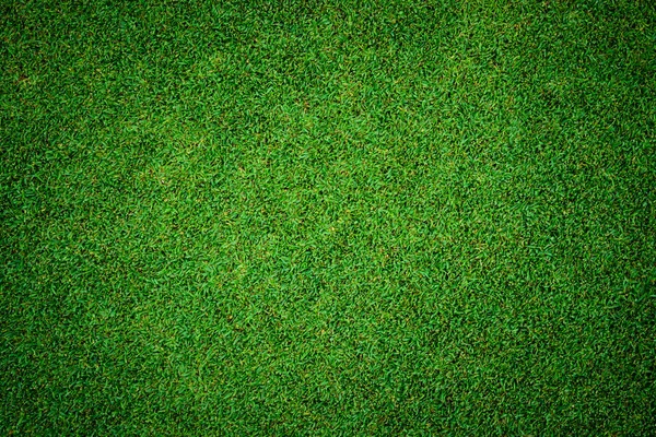 Textury, krásné zelené trávě vzorku z golfu — Stock fotografie