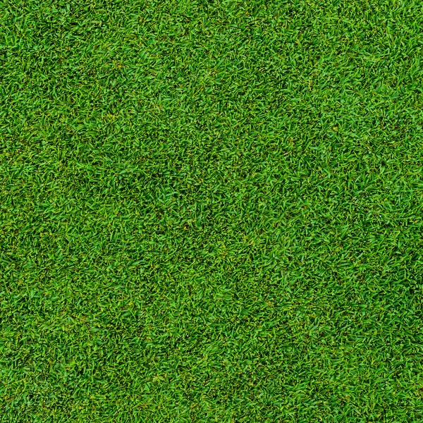 Текстура красивого зеленого візерунка трави з поля для гольфу — стокове фото