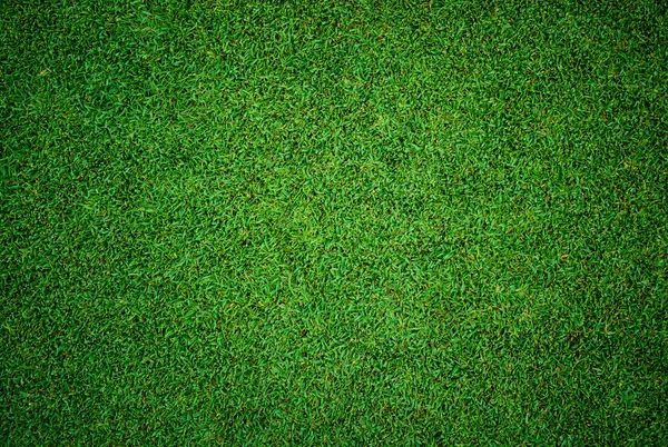 Текстура красивой зеленой травы с поля для гольфа — стоковое фото