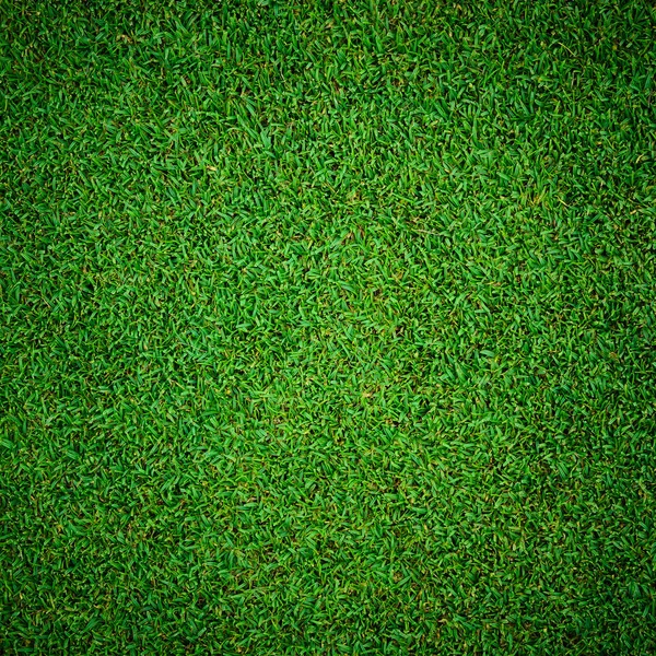 美しい緑の芝生パターンのテクスチャ — ストック写真