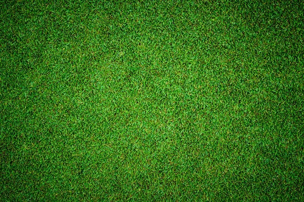 Texture de beau motif d'herbe verte du terrain de golf — Photo