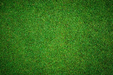 golf sahası--dan güzel yeşil çim deseninin arka plan