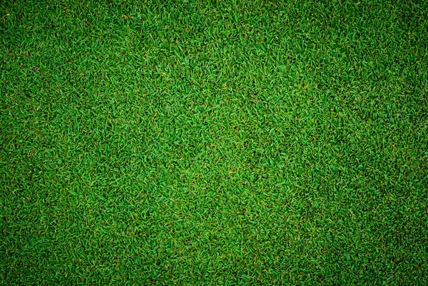 Achtergrond van prachtige groene gras patroon van golfbaan — Stockfoto