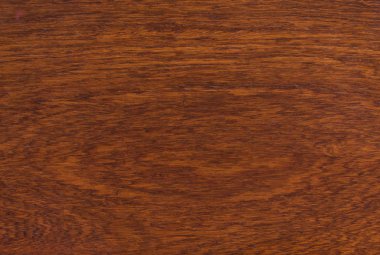 arka plan ve makro Ormosia odun dokusuna