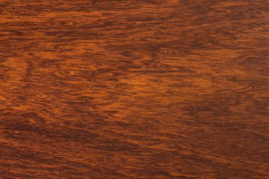 arka plan ve makro Ormosia odun dokusuna