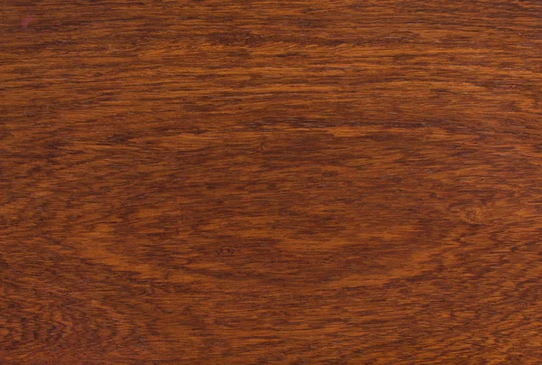 Hintergrund und Textur von Makroormosia-Holz — Stockfoto