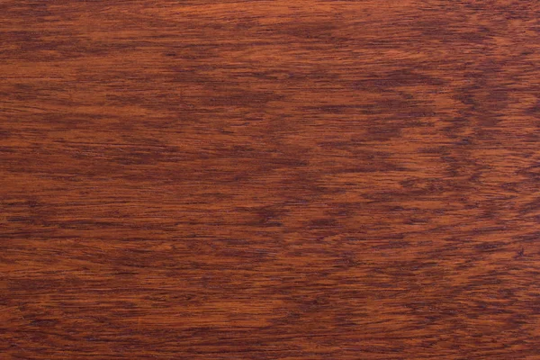 Tło i tekstura drewna makro Ormosia — Zdjęcie stockowe