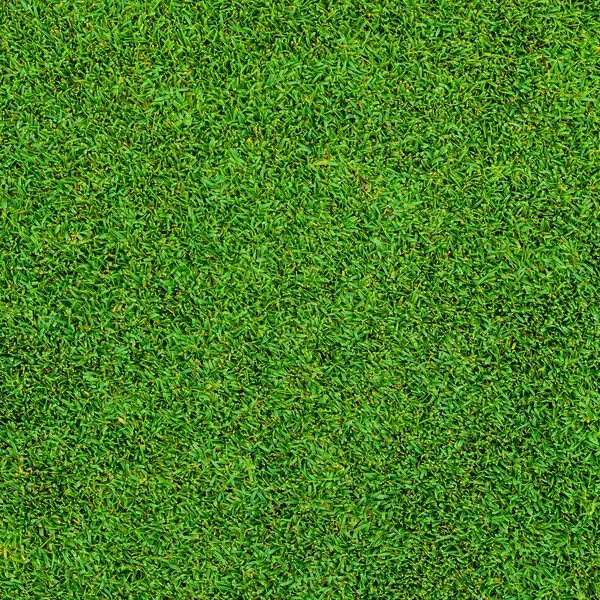 Fond de beau motif d'herbe verte du terrain de golf — Photo