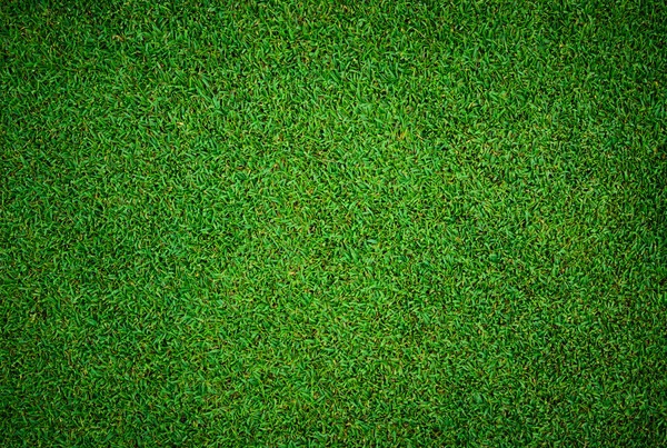 Texture di Bella erba verde modello dal campo da golf — Foto Stock