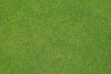 güzel yeşil çim desen