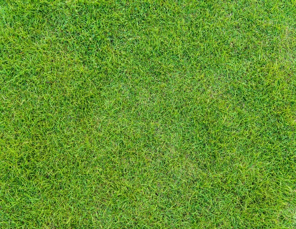 从高尔夫球场在日落添绿草模式 — 图库照片