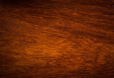 arka plan ve makro Ormosia odun dokusuna