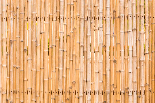 フェンスの壁の背景の装飾的な古い竹の木を閉じます — ストック写真