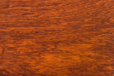 Macro Ormosia ahşap dokusu, Afzelia xylocarpa (Kurz) Craib, LEGUMINOSAE-CAESALPINIOIDEAE (FABACEAE)