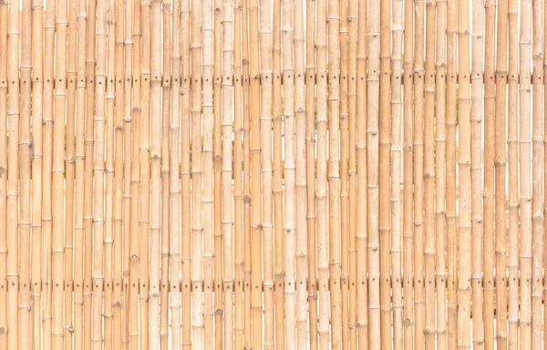 用篱笆墙做背景的装饰竹木 — 图库照片