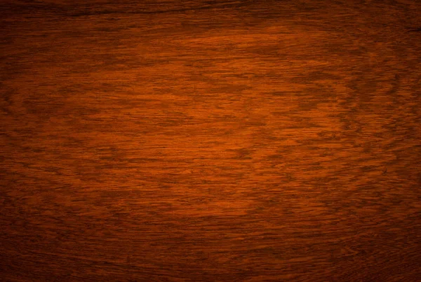 Macro Ormosia Wood Texture Afzelia Xylocarpa Kurz Craib Leguminosae Caesalpinioideae — Stock Photo, Image