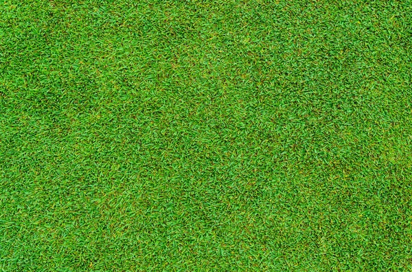 Background Texture Beautiful Green Grass Pattern Golf Course — Stock Photo, Image