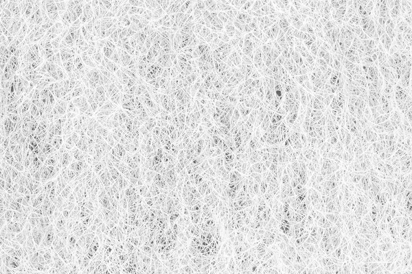 Fehér Háttér Textúra Dísznövények — Stock Fotó
