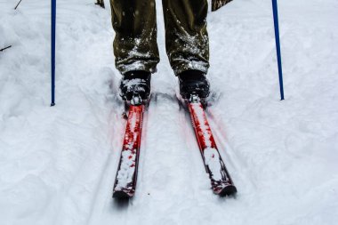 Saratov Kayak gezisi