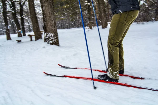 Ski-reis in Saratov — Stockfoto