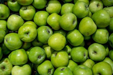 güzel elma yalan üstüne belgili tanımlık sığınak