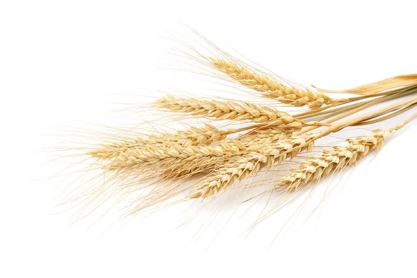 Fagottino di spighe di grano su sfondo bianco . — Foto Stock