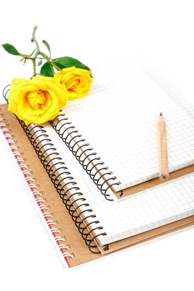 Colored pencils, notebooks and rose flowers on white — Stock Photo, Image