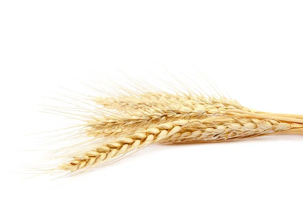 Pão de espigas de trigo sobre fundo branco . — Fotografia de Stock