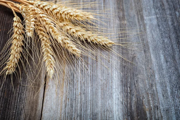 Sheaf of wheat ears on the wooden. — Stock Photo, Image