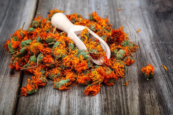Dried calendula flowers on wooden Medicinal plants — Stock Photo, Image