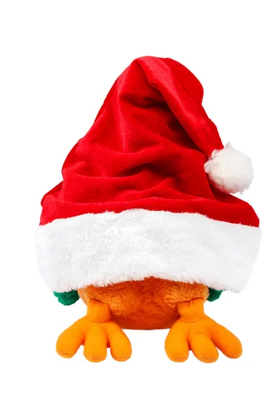 Rooster in a cap of Santa Claus on white background — Stock Photo, Image