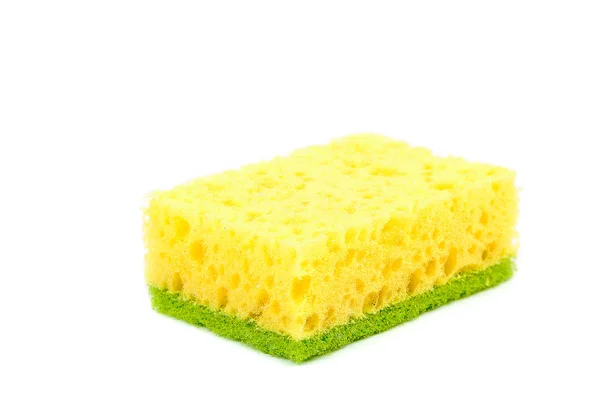 Sponge isolated on the a white background — Stock Photo, Image