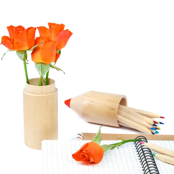 Lápis coloridos, cadernos e flores de rosas em branco — Fotografia de Stock
