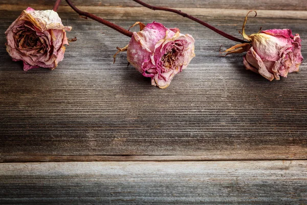 Ahşap arka planda kurumuş çiçek gülleri — Stok fotoğraf
