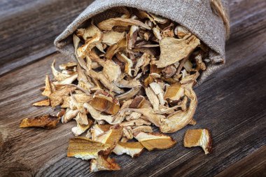 Porcini mantar bir tuval çanta içinde kurutulmuş