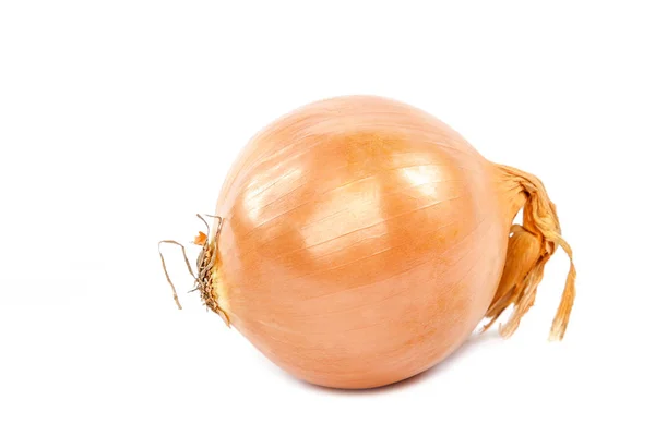 Onion bulbs isolated on a white background — Stock Photo, Image