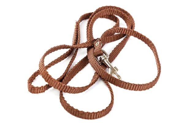 Doggy leather belt collar leash on white background. — Stock Photo, Image