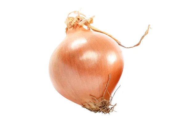 Onion bulbs isolated on a white background — Stock Photo, Image