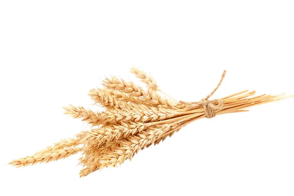 白い背景に孤立した小麦の耳の葉 — ストック写真