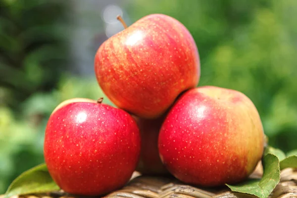 Rote Äpfel auf grünem Hintergrund — Stockfoto