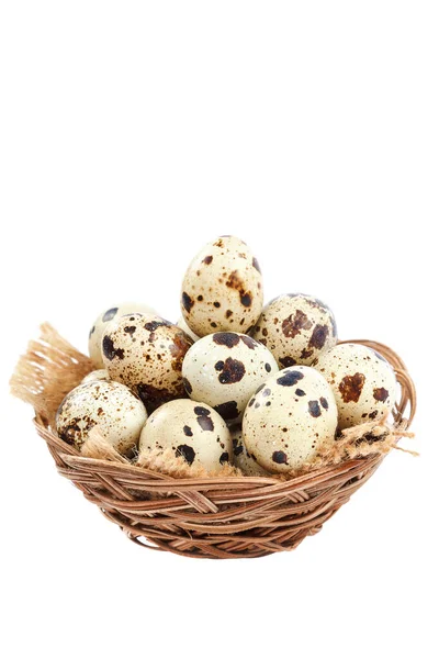 Huevos de codorniz aislados sobre un fondo blanco — Foto de Stock