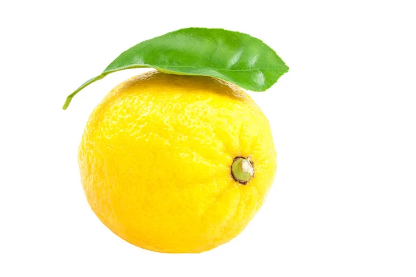 Lemon with green leaves isolated on white background — Stock Photo, Image