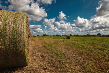 Mavi gökyüzüne karşı yuvarlanan samanlı tarla.