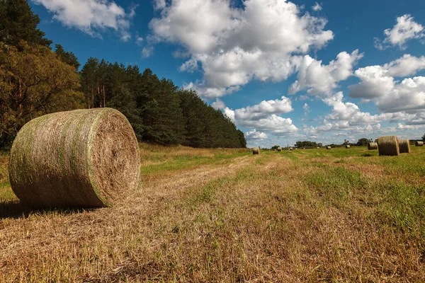 Veld Met Stro Rollen Tegen Blauwe Lucht — Stockfoto