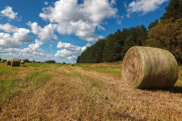 Veld Met Stro Rollen Tegen Blauwe Lucht — Stockfoto