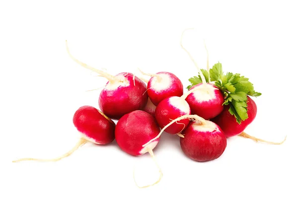 Fresh Radish Fruits Isolated White Background — Stock Photo, Image